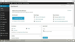 2.0 - The WordPress Interface
