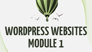 Module 1 - WordPress Websites